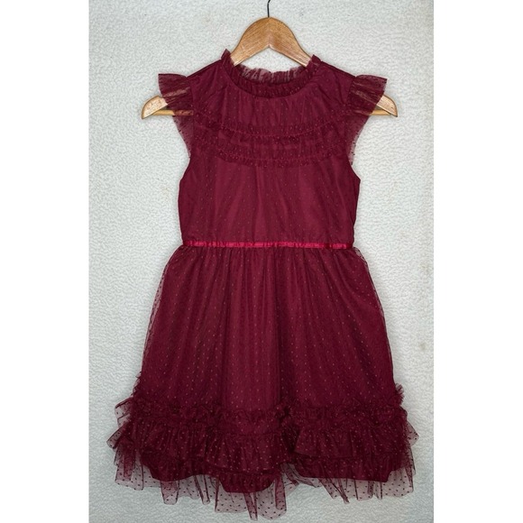 Janie and Jack Other - Janie and Jack Deep Burgundy Dot Tull Mesh Dress Ruffle Hem Girls Sz 12 NWT